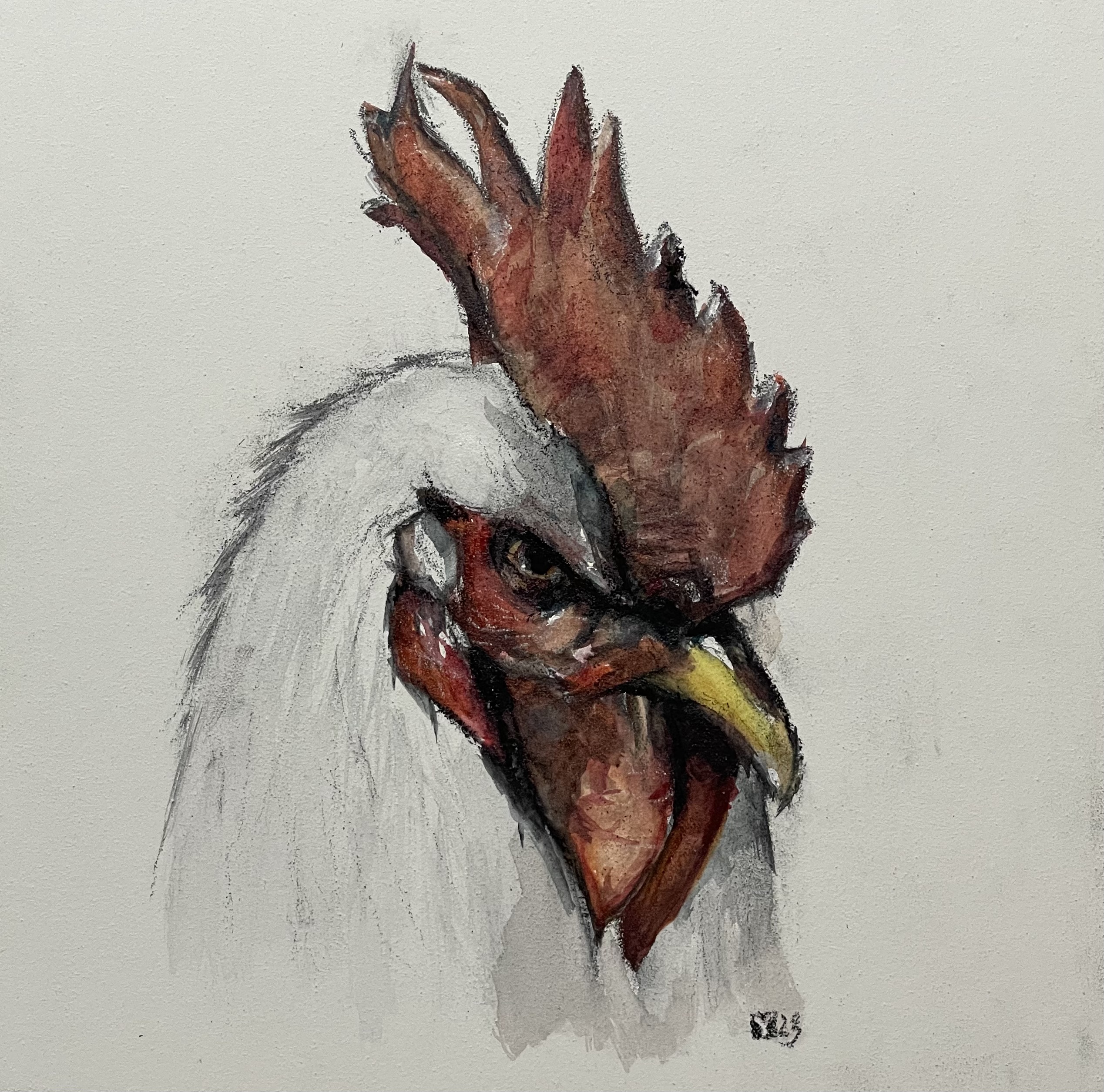 chicken