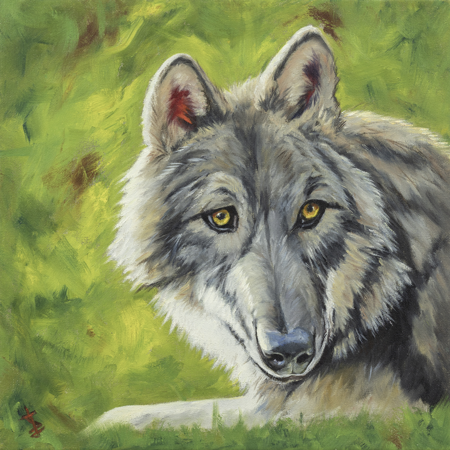 Sunny Wolf - 12x12 print by Stacy Jenkins