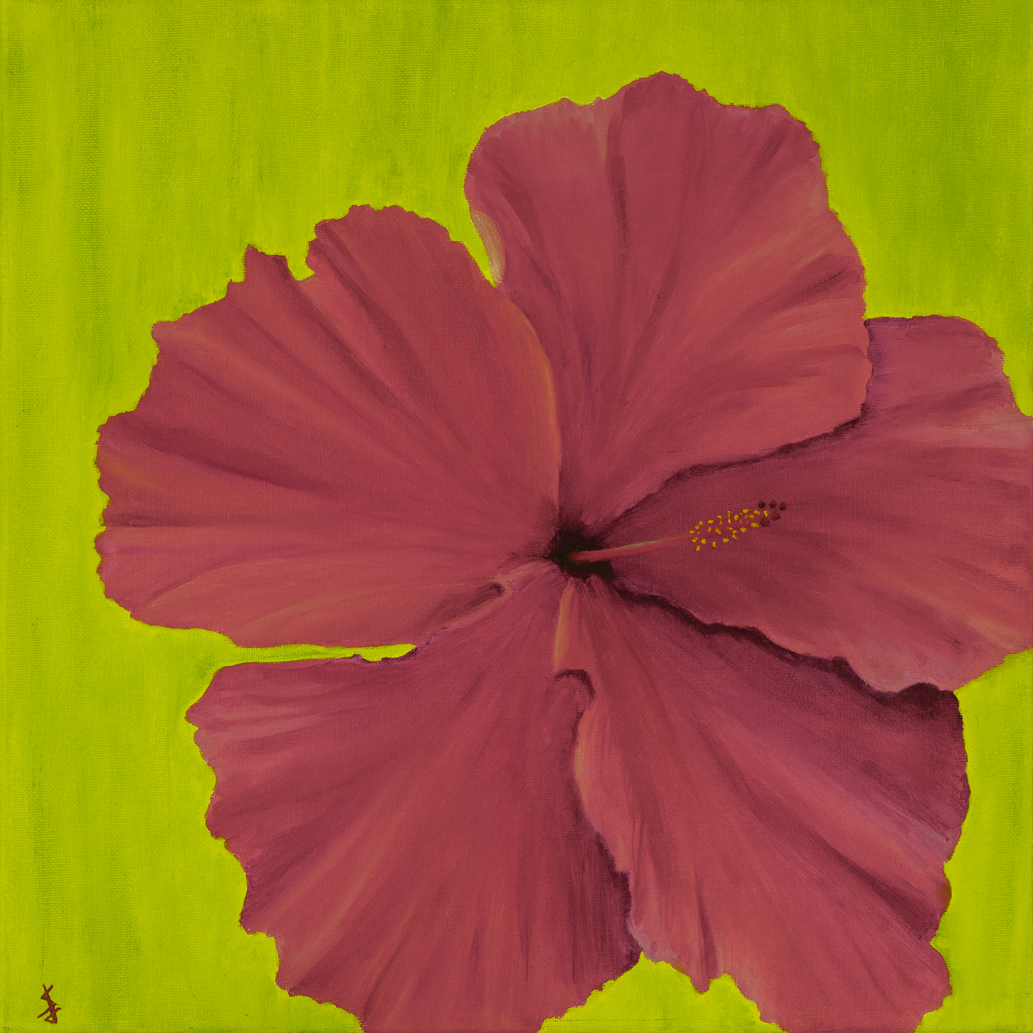 Hibiscus Warm - 14x14 inch Print by Stacy Jenkins