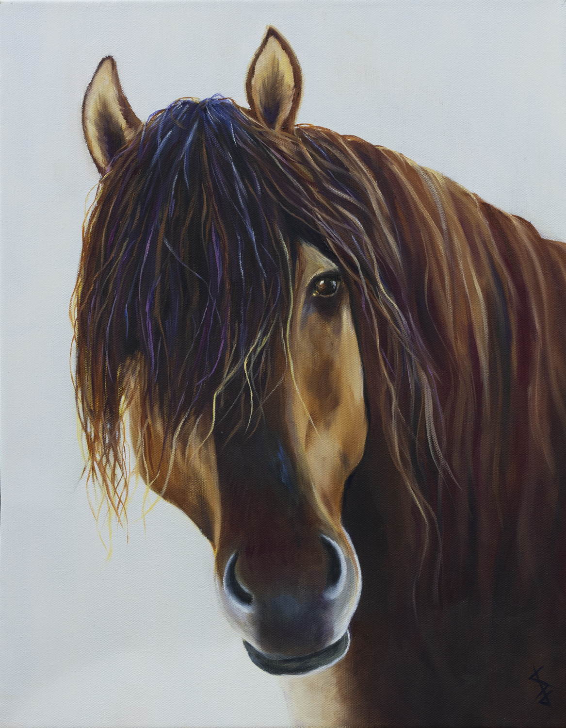 Curiosity - print by Stacy Jenkins