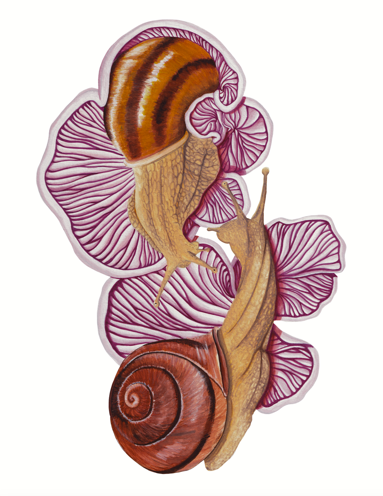 Symbiotic Dance - 8x10 inches print by Stephenie Anderson