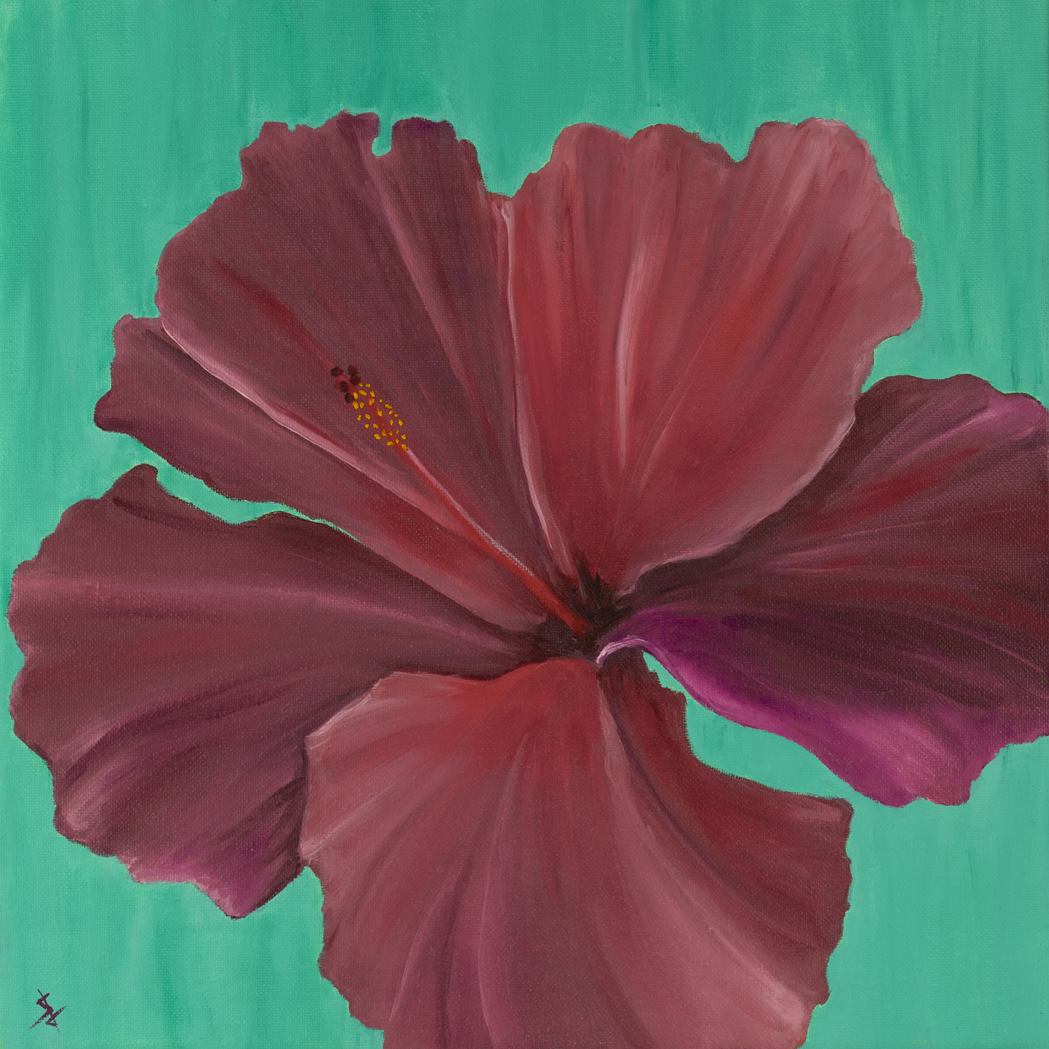 Hibiscus Cool - 14x14 inch Print by Stacy Jenkins