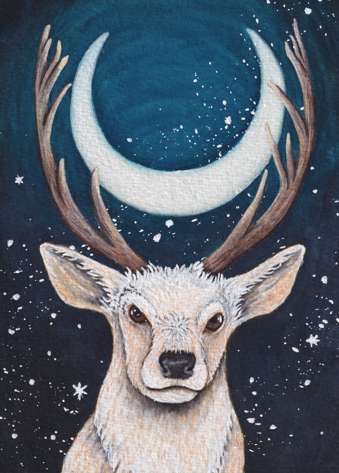 Night Watcher - 8x11 inches print by Stephenie Anderson