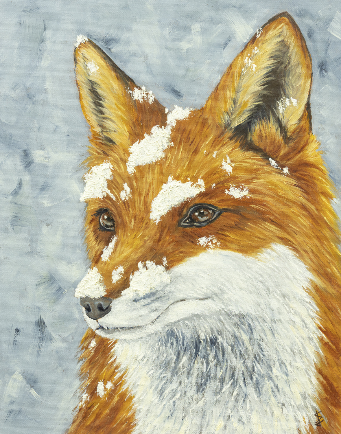 Snowy Fox - 11x14 print by Stacy Jenkins