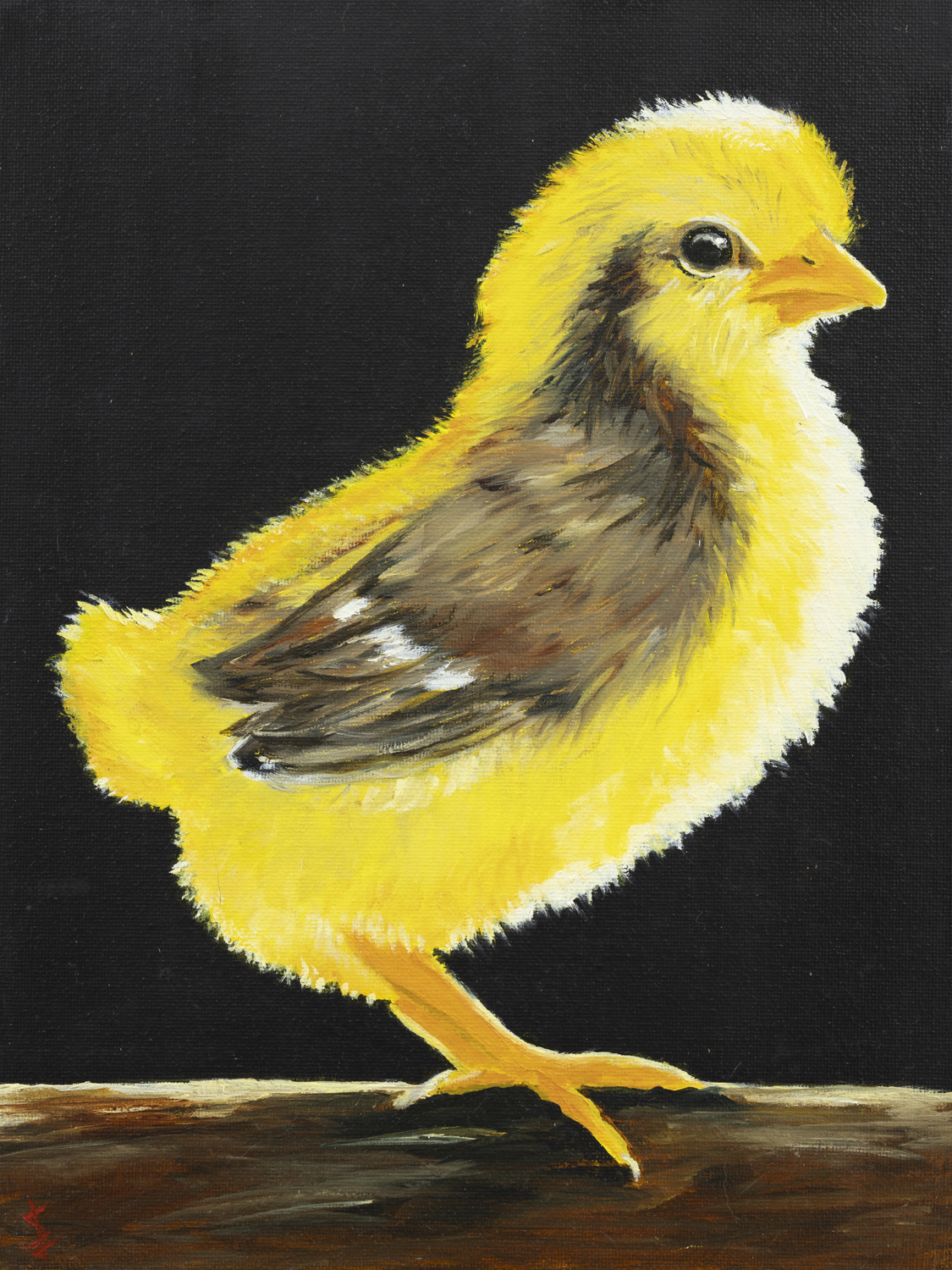 Chicky - 9x12 print by Stacy Jenkins