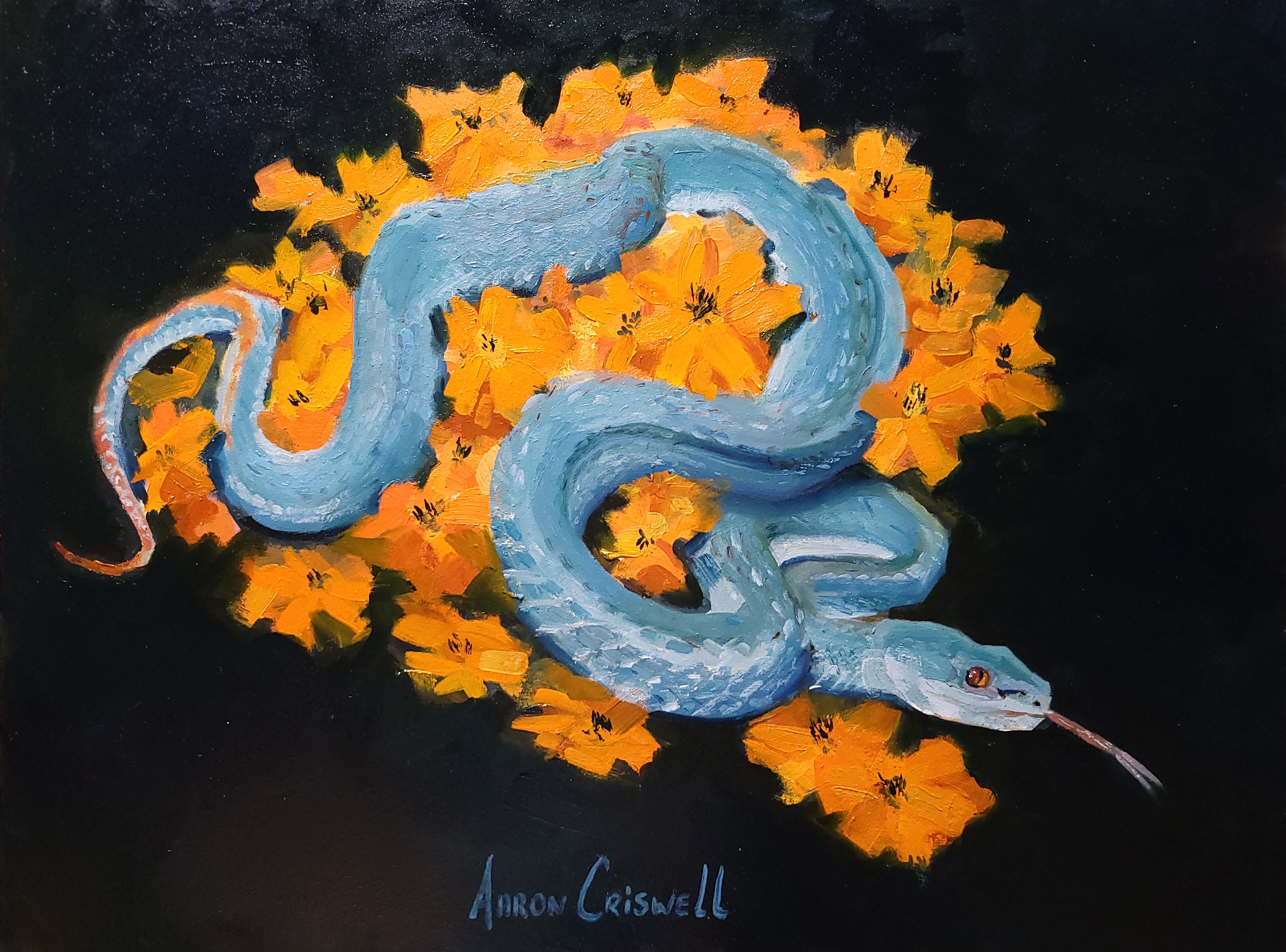 Blue insularis pit viper - Print by Aaron Criswell